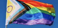 Viewpoint: Gay journalist explains how gay quest for equal rights has been subverted by queer radicals